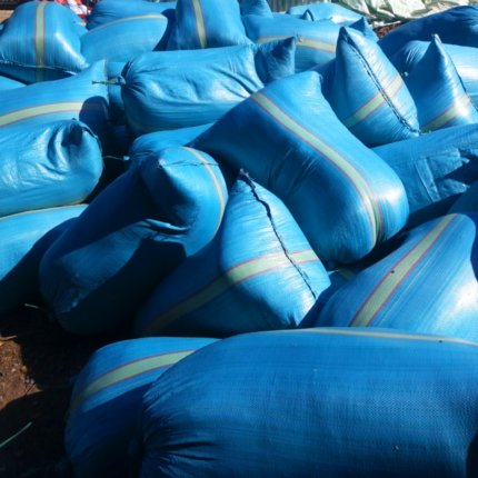 Mụn Dừa Bao Xanh 70*110