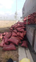 Mụn Dừa Bao Đỏ 55*85 - Ảnh 4