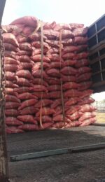 Mụn Dừa Bao Đỏ 55*85 - Ảnh 5